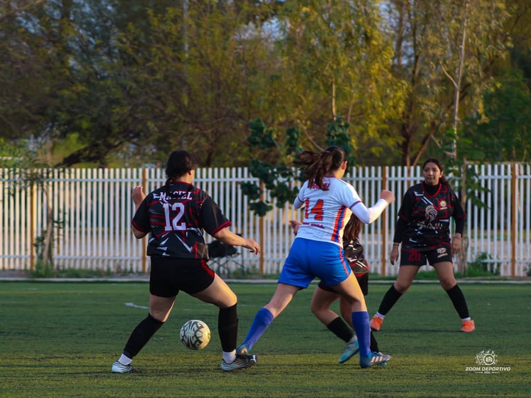 Female soccer players in black and blue jerseys competing for the ball on a grass field with white fence and trees in background