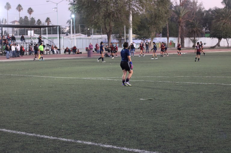 Soccer player in dark jersey running on field during match with spectators and team members in background