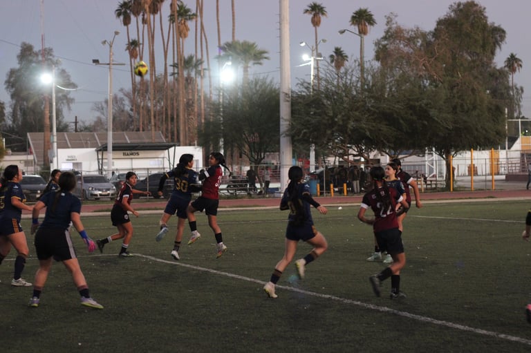 Young soccer players in black jerseys competing on a field with palm trees and stadium lights in the background