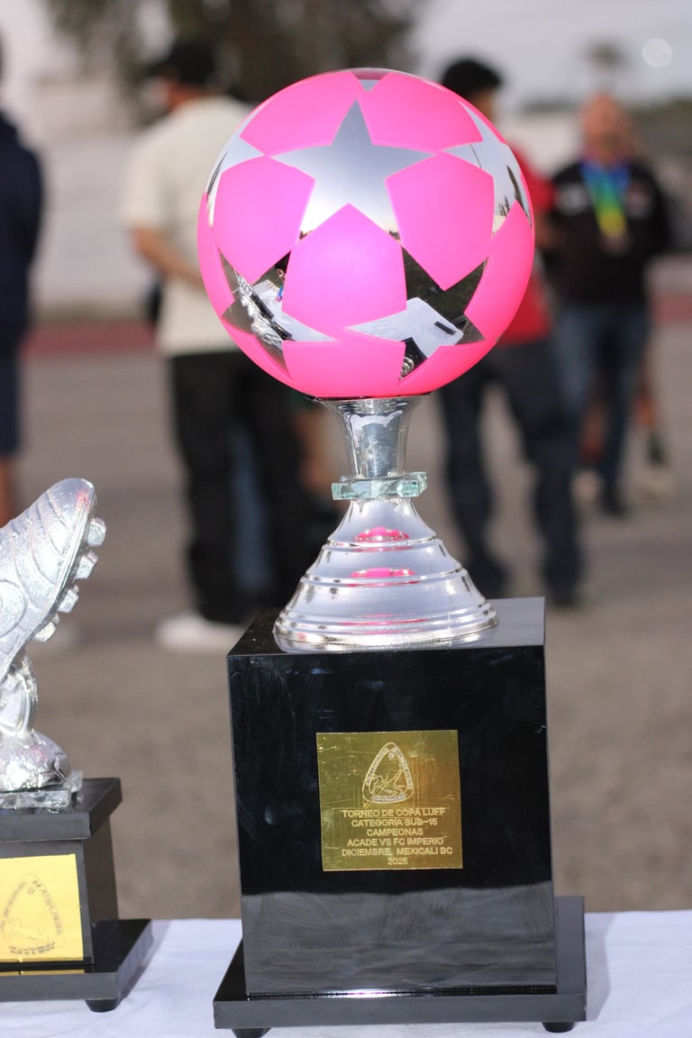 Pink and white soccer ball trophy on a black pedestal with brass plaque at an outdoor sports event